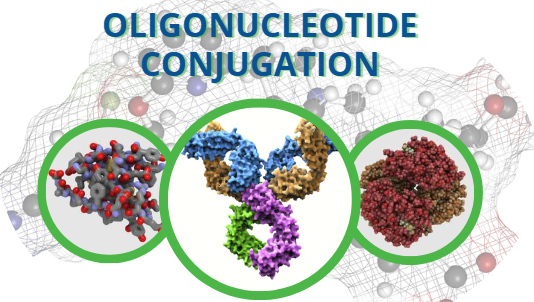 Bioconjugation made easy!