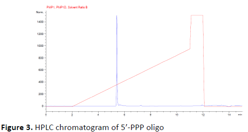 Custom 5'-Triphosphate Oligonucleotides for Diagnostics and Gene Therapeutics