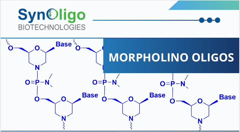 Unlock Precision Gene Regulation With PMO!