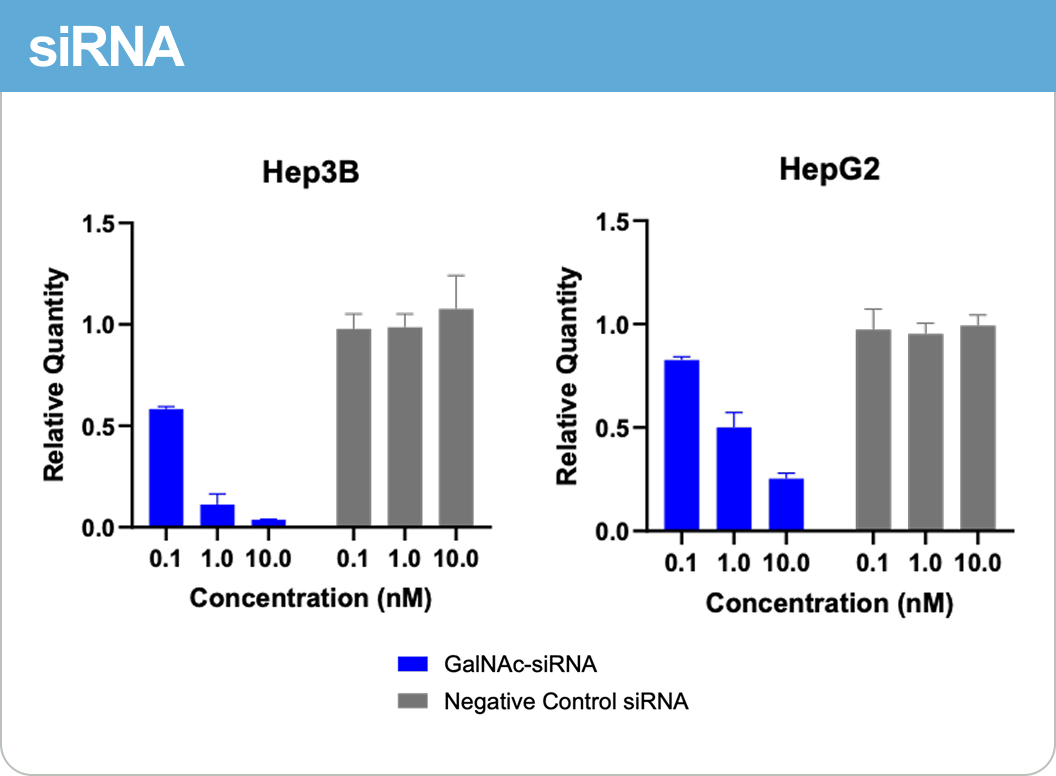 siRNA RT-qPCR knockdown bar graph