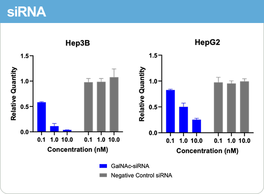 siRNA RT-qPCR knockdown bar graph