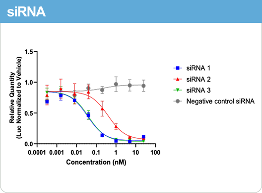 Luciferase reporter siRNA potency curve