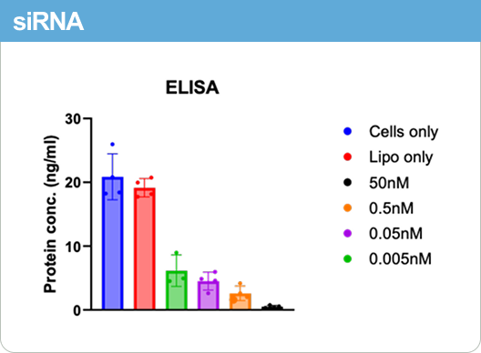 siRNA ELISA bar graph