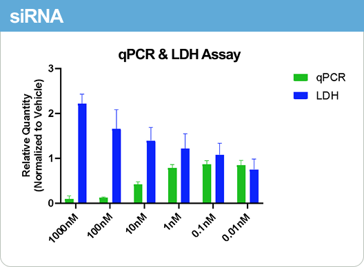 qPCR & LDH Assay