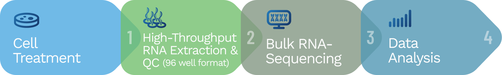 Off-target screening workflow