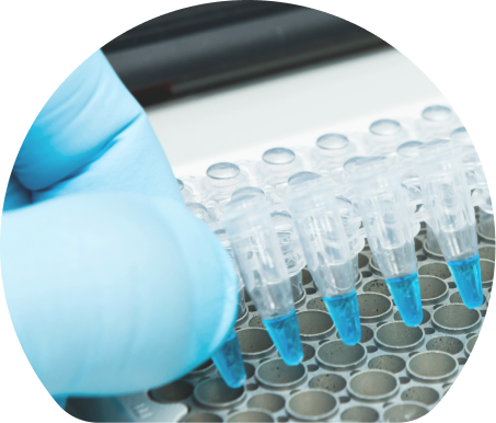 Rare Disease Advancing