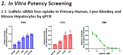 Accelerating Hit-to-Lead Discovery for Oligonucleotide Therapeutics Using an Integrated Platform