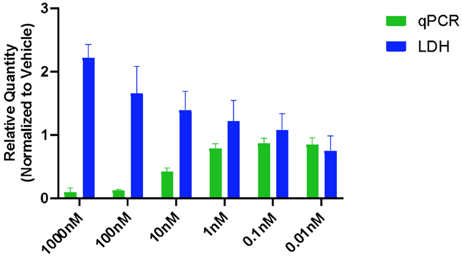 Dose-response on-target gene knockdown and LDH induction of cholesterol-siRNA in Hep3B cells.