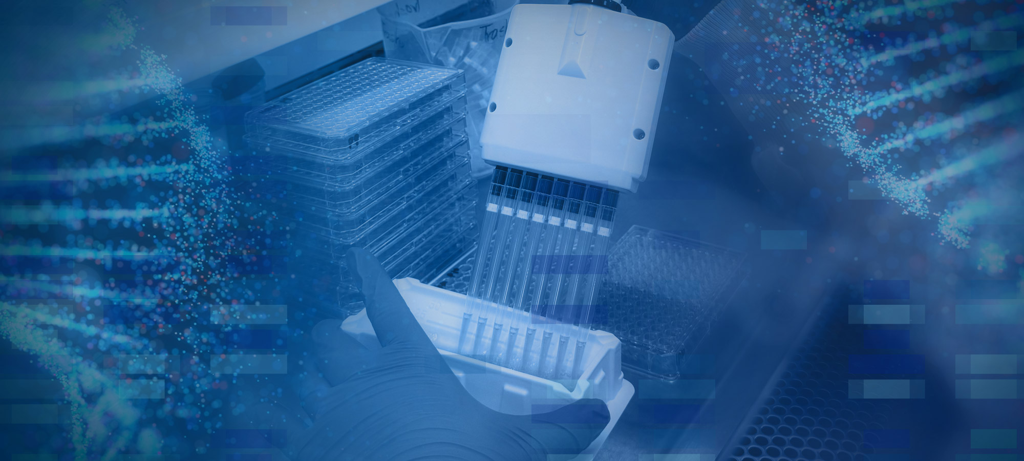 Scientist handling 96-well plates for high-throughput in vitro screening of oligonucleotides.