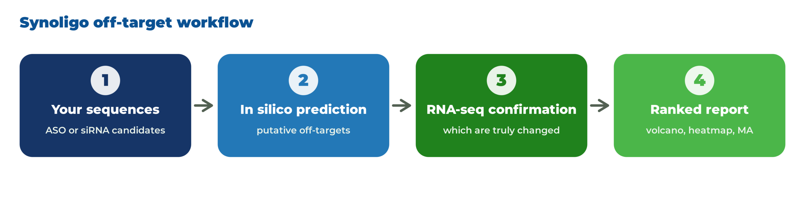 The combined workflow. Client sequences are screened in silico to define putative off-targets, RNA-seq confirms which transcripts are genuinely changed, and the results are compiled into a ranked report.