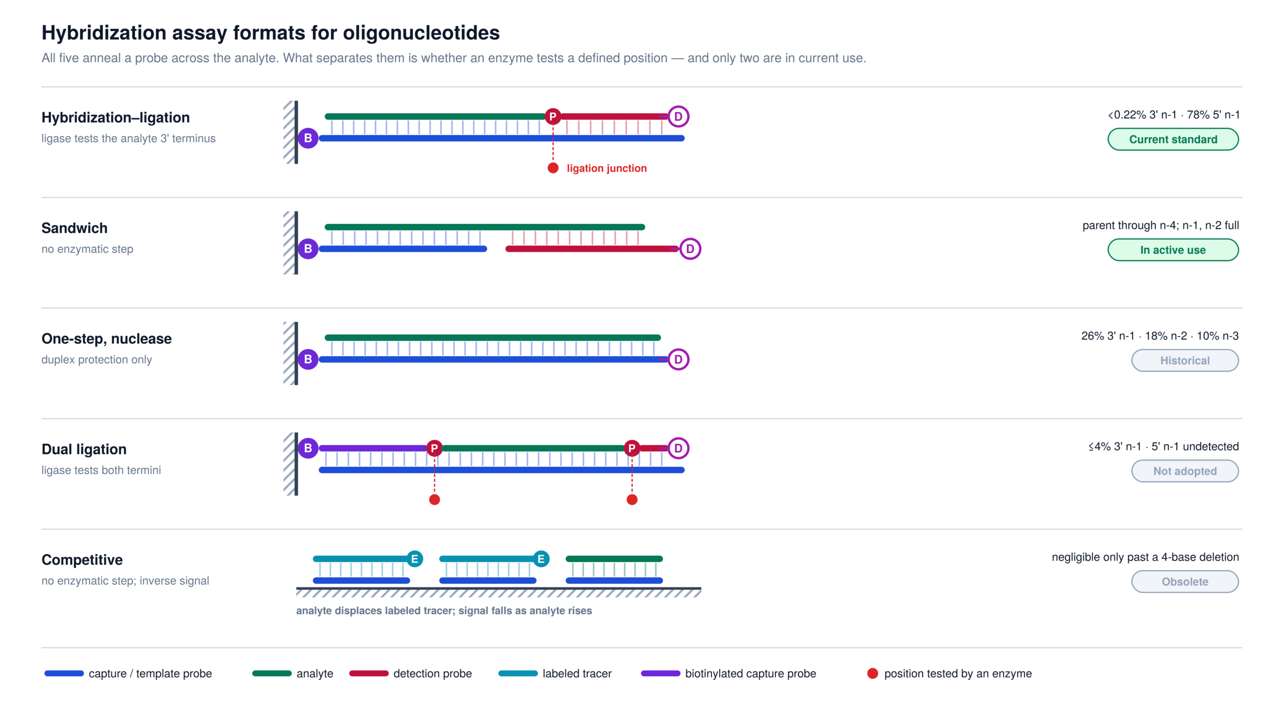 Comparison of five hybridization assay formats for oligonucleotides - hybridization-ligation, sandwich, one-step nuclease, dual ligation and competitive - with their metabolite cross-reactivity and current status