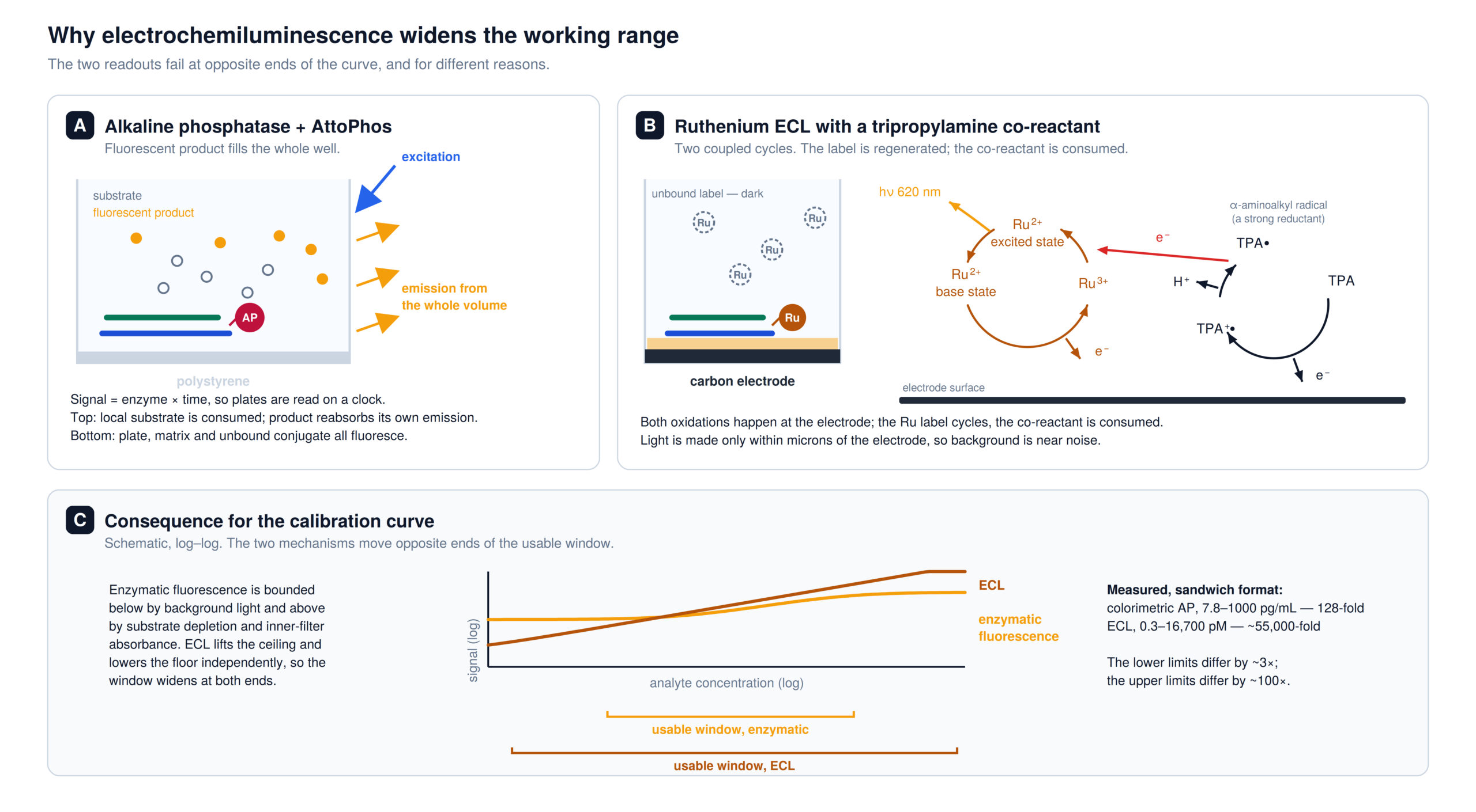 Comparison of an alkaline phosphatase fluorescence readout with ruthenium electrochemiluminescence, and the effect of each on the calibration curve working range