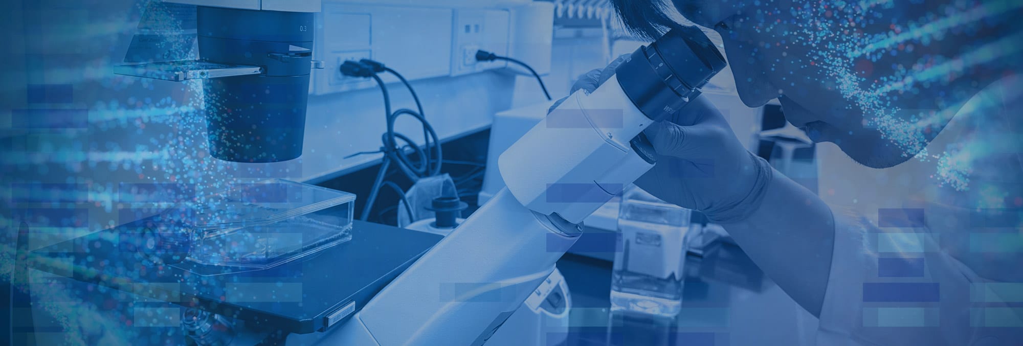 Researcher at a microscope in a laboratory, overlaid with DNA sequencing traces.