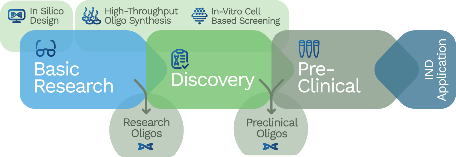 Oligo development stages: in silico design, high-throughput oligo synthesis and in-vitro cell based screening across basic research, discovery and pre-clinical through IND application.