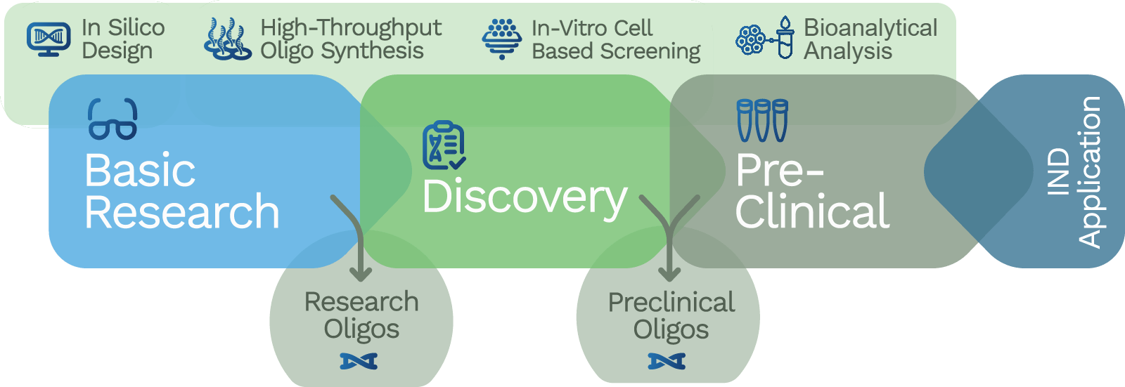 Synoligo service areas across basic research, discovery, pre-clinical, and bioanalytical analysis