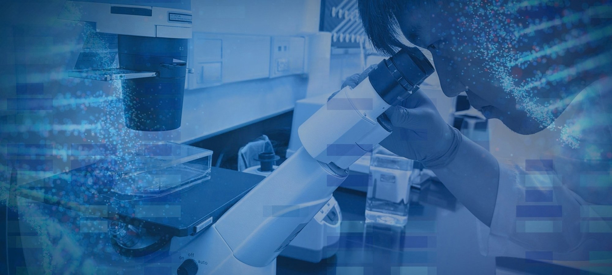 Scientist at a microscope in a Synoligo laboratory