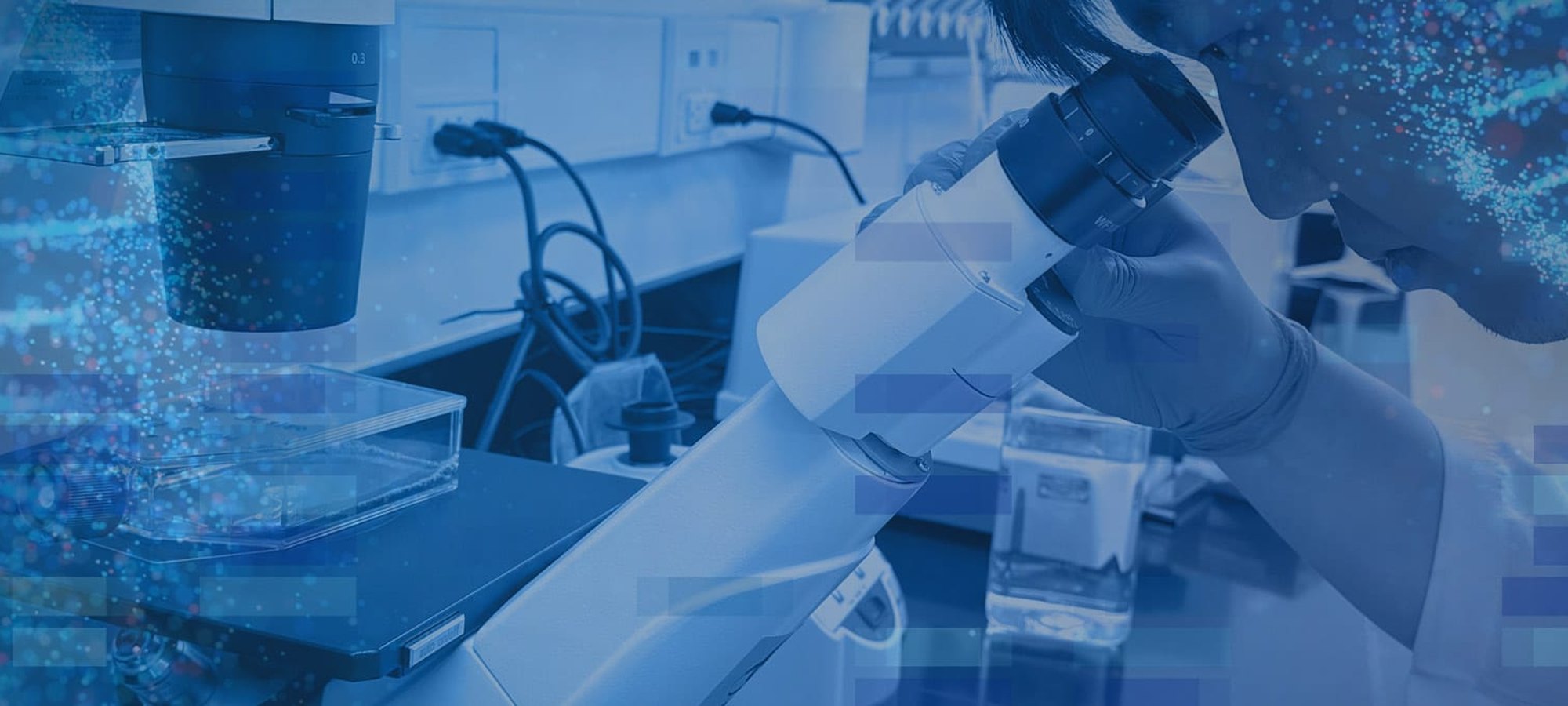 Scientist at a microscope in a Synoligo laboratory