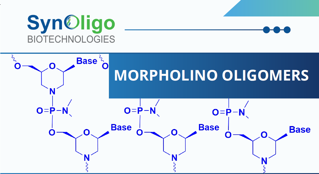 Unlock Precision Gene Regulation With PMO!